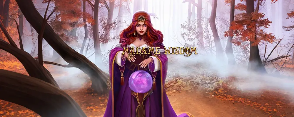 ম্যাডাম উইজডম
